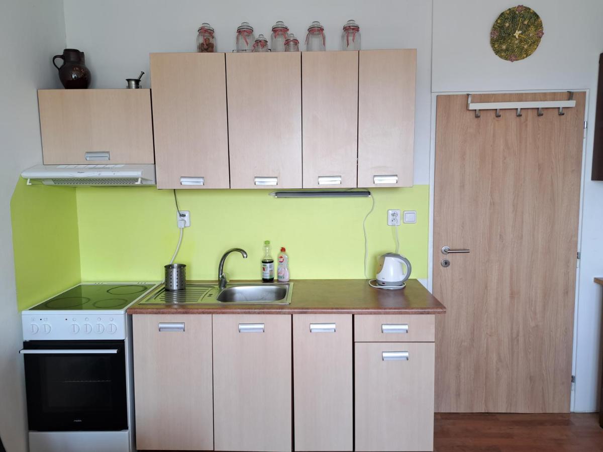 Apartman V Podhuri Krusnych Hor ソコロフ エクステリア 写真