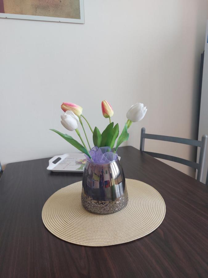 Apartman V Podhuri Krusnych Hor ソコロフ エクステリア 写真