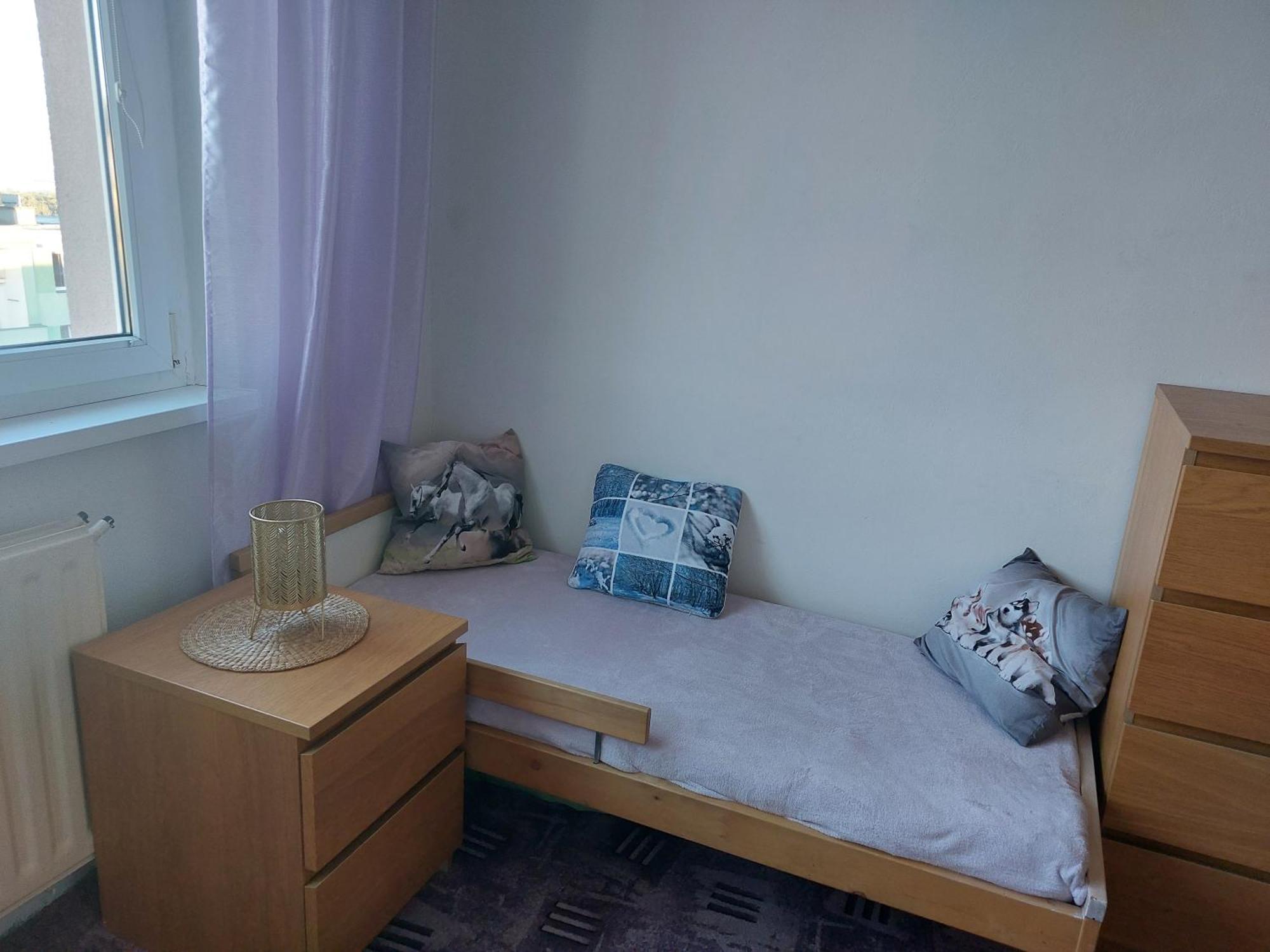 Apartman V Podhuri Krusnych Hor ソコロフ エクステリア 写真